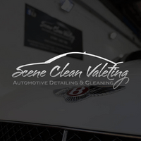 Scene Clean